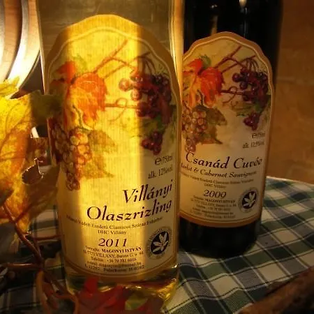 Magonyi Panzio