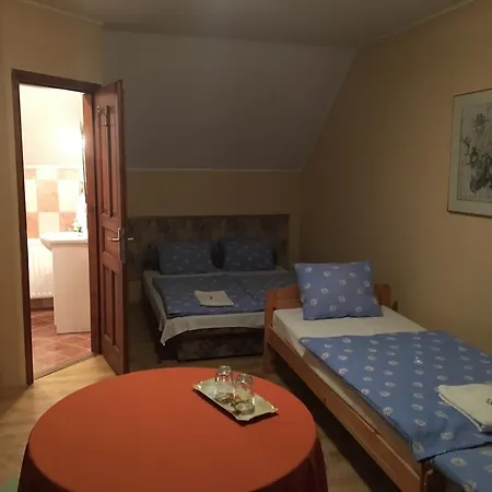 Magonyi Panzio *